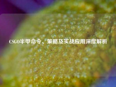 CSGO半甲命令、策略及实战应用深度解析