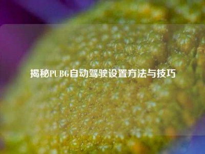 揭秘PUBG自动驾驶设置方法与技巧