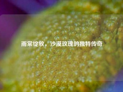雨棠绽放，沙漠玫瑰的独特传奇