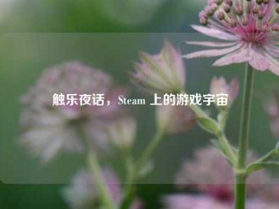 触乐夜话，Steam 上的游戏宇宙
