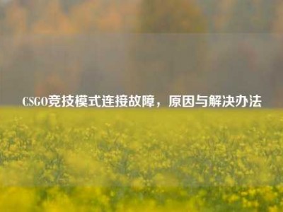 CSGO竞技模式连接故障，原因与解决办法