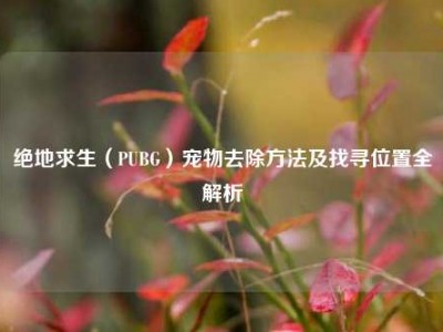 绝地求生（PUBG）宠物去除方法及找寻位置全解析