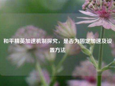 和平精英加速机制探究，是否为固定加速及设置方法