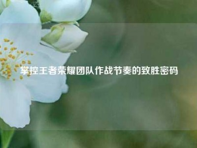 掌控王者荣耀团队作战节奏的致胜密码
