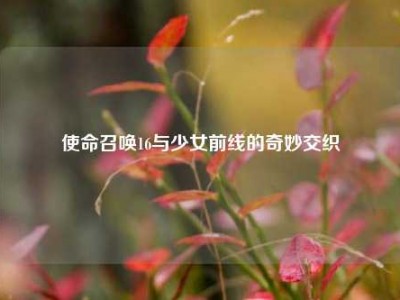 使命召唤16与少女前线的奇妙交织