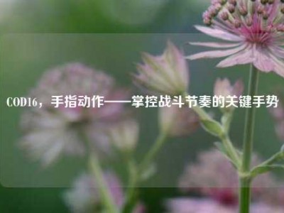 COD16，手指动作——掌控战斗节奏的关键手势