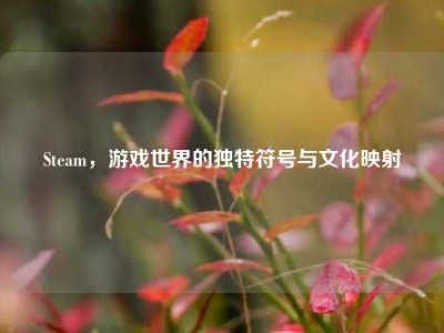 Steam，游戏世界的独特符号与文化映射