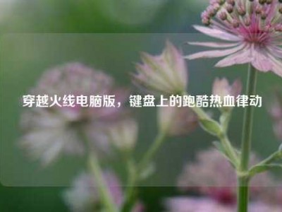 穿越火线电脑版，键盘上的跑酷热血律动