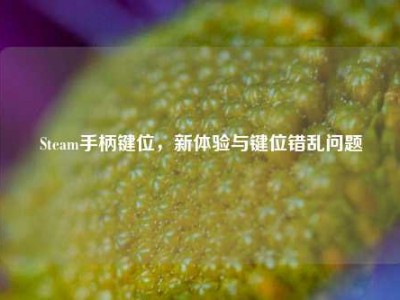 Steam手柄键位，新体验与键位错乱问题