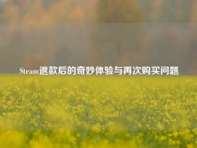 Steam退款后的奇妙体验与再次购买问题