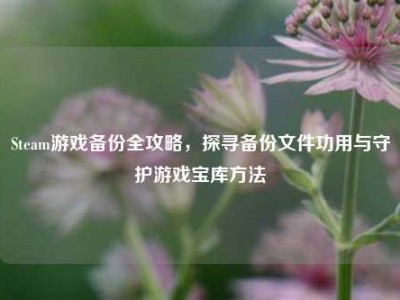 Steam游戏备份全攻略，探寻备份文件功用与守护游戏宝库     