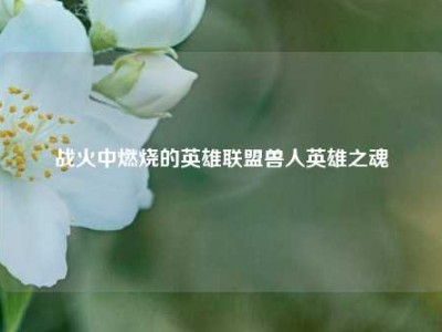 战火中燃烧的英雄联盟兽人英雄之魂