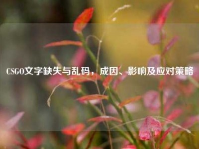 CSGO文字缺失与乱码，成因、影响及应对策略