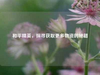 和平精英，探寻获取更多物资的秘籍