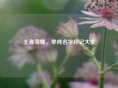 王者荣耀，单纯名字印记大全