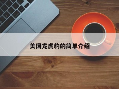 美国龙虎豹的简单介绍
