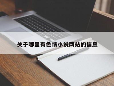 关于哪里有色情小说网站的信息