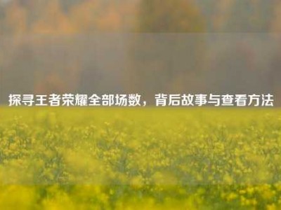 探寻王者荣耀全部场数，背后故事与查看方法