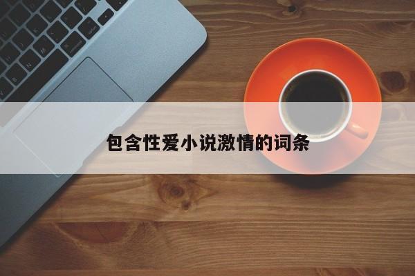 包含性爱小说激情的词条