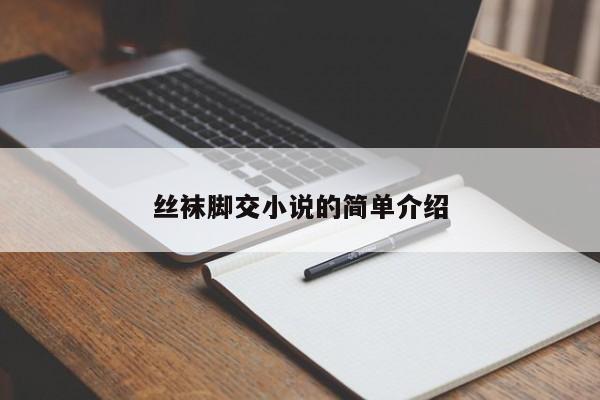 丝袜脚交小说的简单介绍