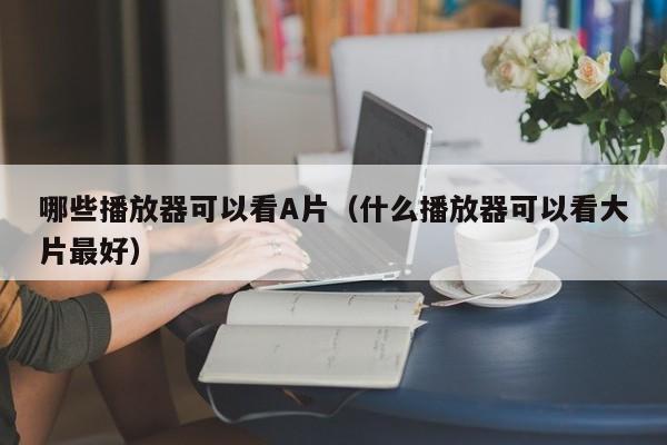 哪些播放器可以看A片(什么播放器可以看大片最好)