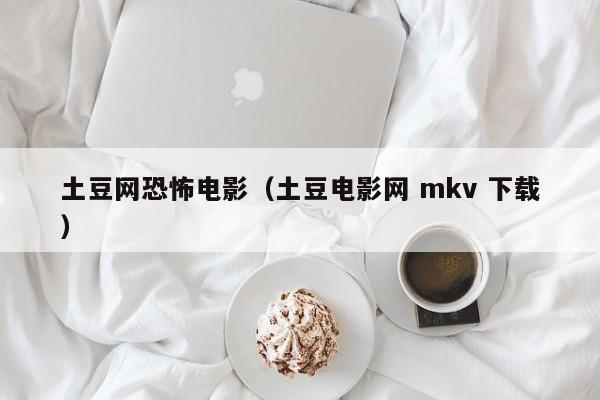 土豆网恐怖电影(土豆电影网 mkv 下载)