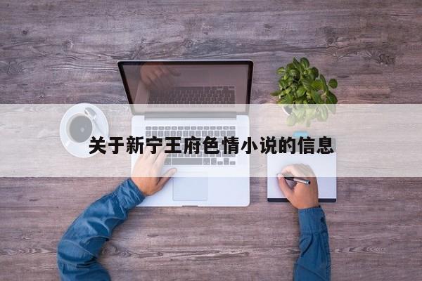 关于新宁王府色情小说的信息