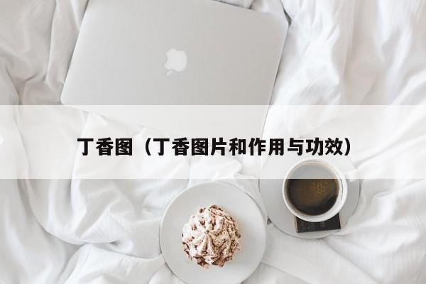 丁香图(丁香图片和作用与功效)