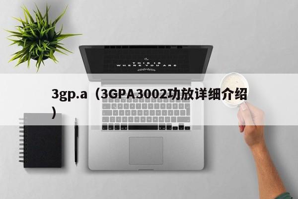 3gp.a(3GPA3002功放详细介绍)