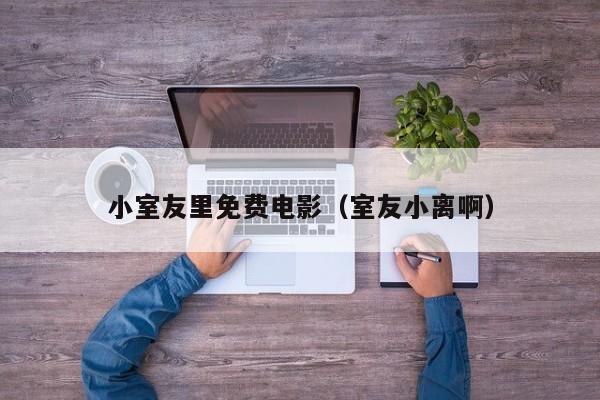 小室友里免费电影(室友小离啊)
