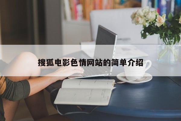 搜狐电影色情网站的简单介绍