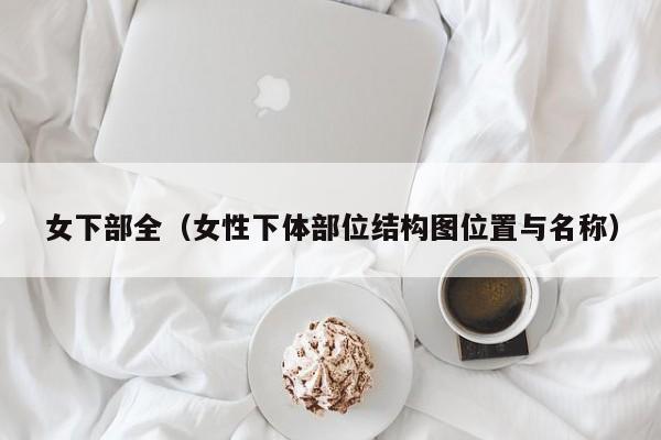 女下部全(女性下体部位结构图位置与名称)