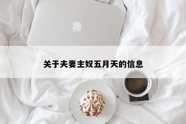 关于夫妻主奴五月天的信息