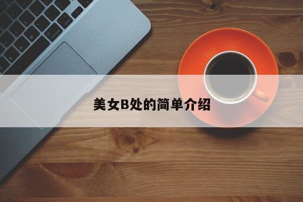 美女B处的简单介绍