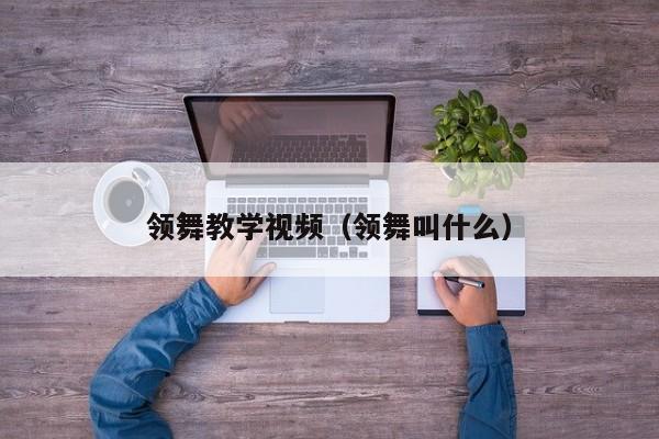 领舞教学视频(领舞叫什么)