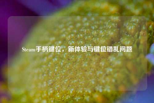 Steam手柄键位，新体验与键位错乱问题