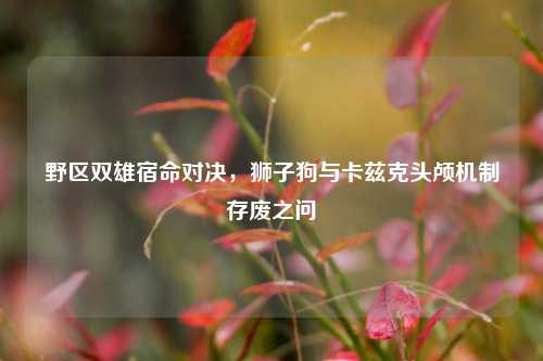 野区双雄宿命对决，狮子狗与卡兹克头颅机制存废之问
