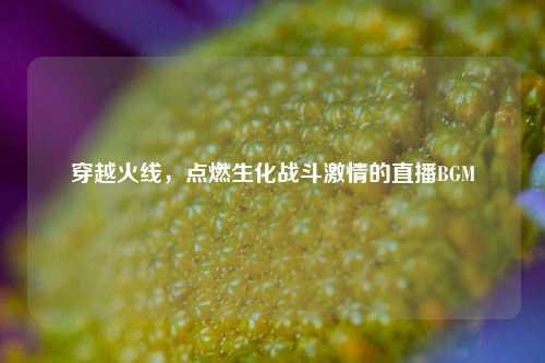 穿越火线，点燃生化战斗激情的直播BGM