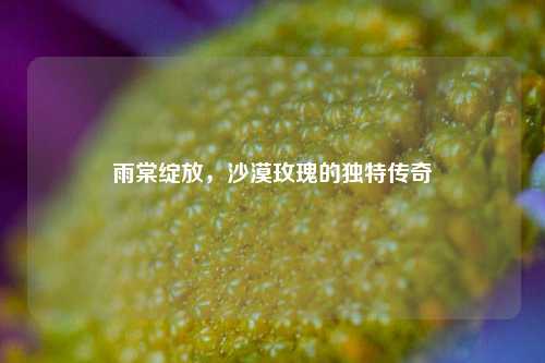 雨棠绽放，沙漠玫瑰的独特传奇