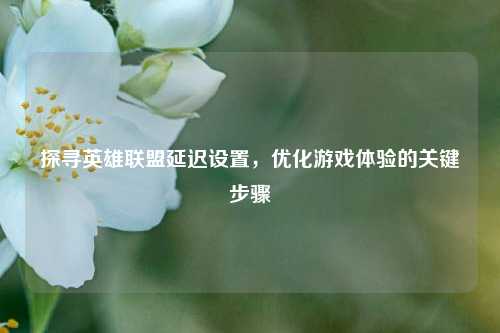 探寻英雄联盟延迟设置，优化游戏体验的关键步骤