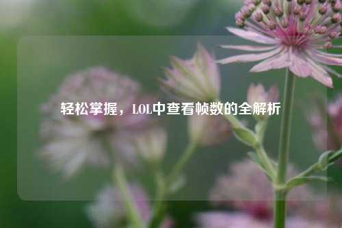轻松掌握，LOL中查看帧数的全解析