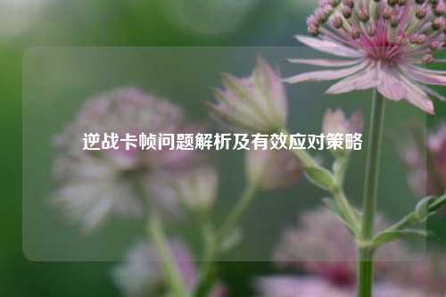 逆战卡帧问题解析及有效应对策略