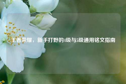 王者荣耀，新手打野的4级与5级通用铭文指南