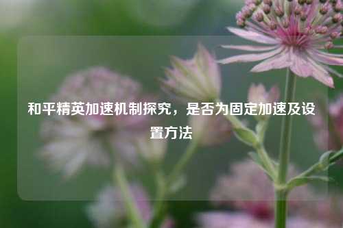 和平精英加速机制探究，是否为固定加速及设置方法