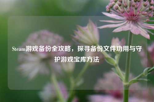 Steam游戏备份全攻略，探寻备份文件功用与守护游戏宝库方法