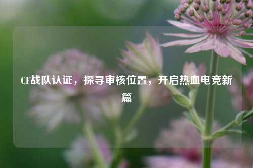 CF战队认证，探寻审核位置，开启热血电竞新篇