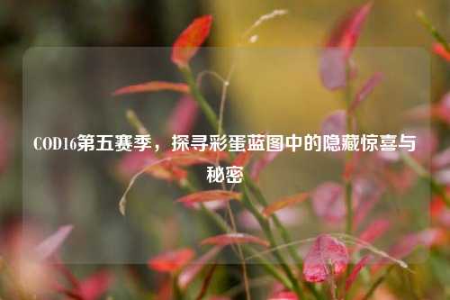 COD16第五赛季，探寻彩蛋蓝图中的隐藏惊喜与秘密