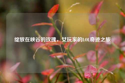 绽放在峡谷的玫瑰，女玩家的LOL奇迹之旅