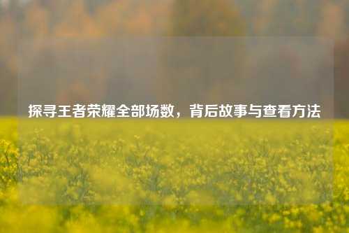 探寻王者荣耀全部场数，背后故事与查看方法